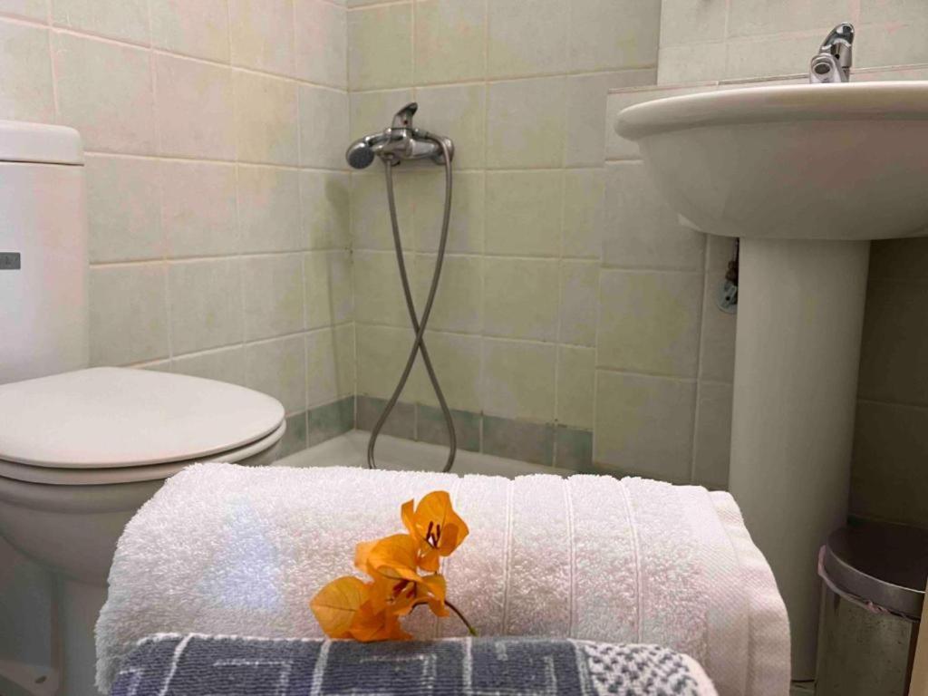 Kastro Aggeliki Apartment Kardhamili Bagian luar foto